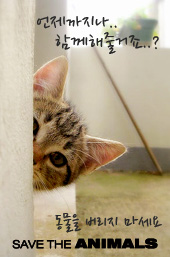 떡실신 아기고양이.jpg (심쿵주의) | 인스티즈