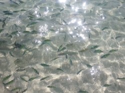 20130127_103313_1.jpg?type=w3