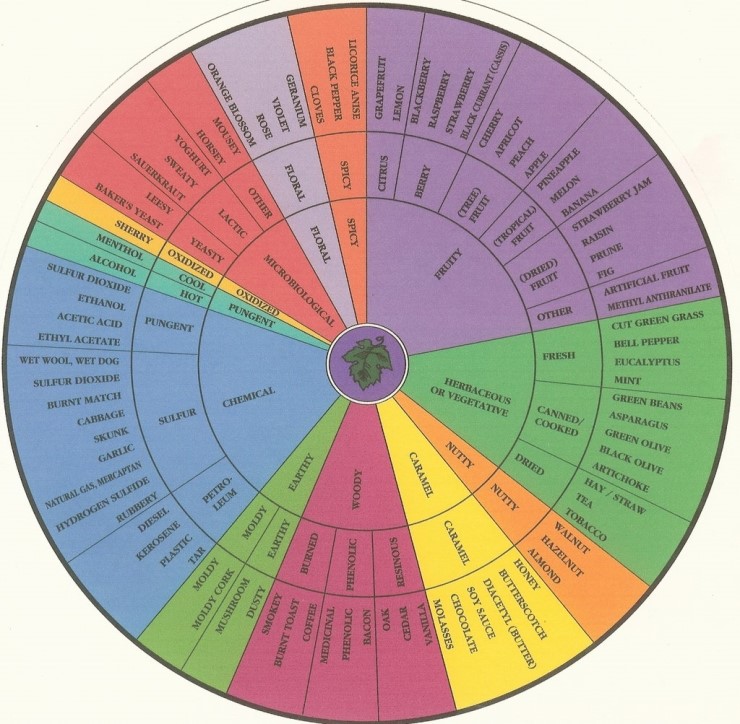 Aroma wheel and taste note : 네이버 블로그