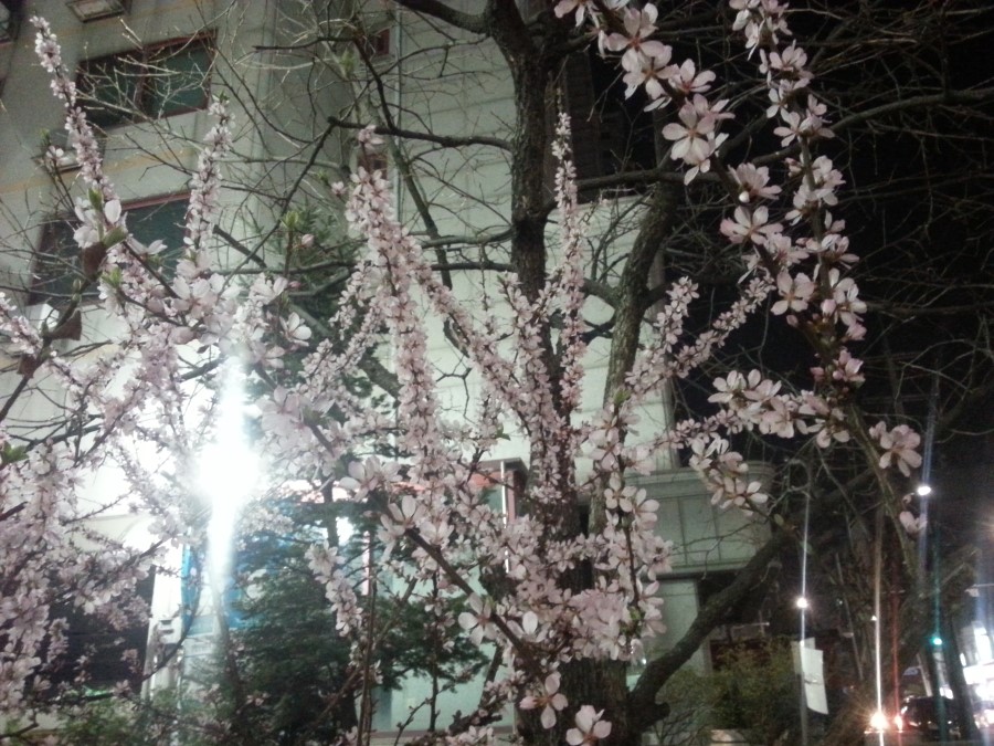 봄의마을식당 이미지