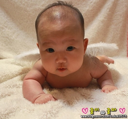 복댕이네 이미지