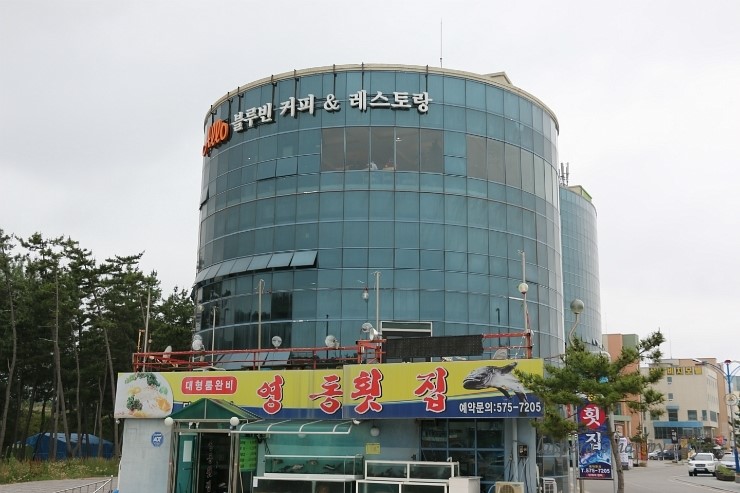 삼척 알로 블루빈 카페 - 삼척 지역 추천맛집 알로 블루빈 후기