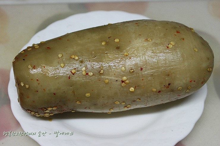 짠지네 이미지