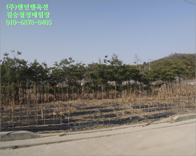 (주)금성주유소 이미지