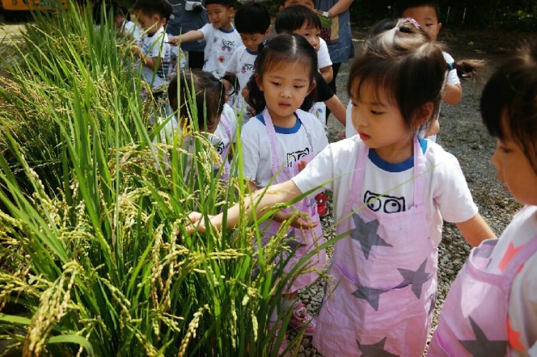 홍천떡팜 이미지