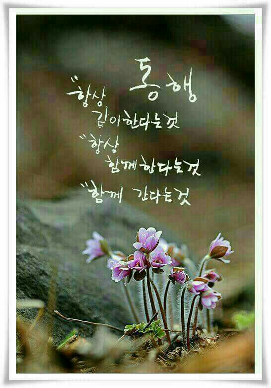 서라벌요양병원 이미지