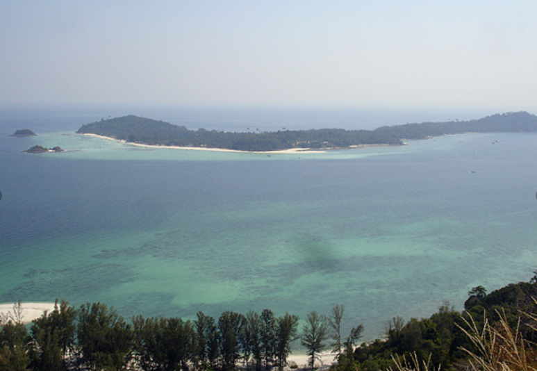 ADANG(아당) 이미지