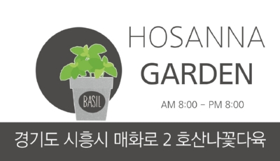 호산나꽃다육 이미지